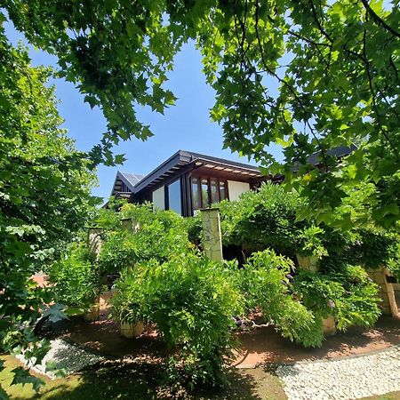 B&B Villa Sbaraglia Alatri Екстер'єр фото