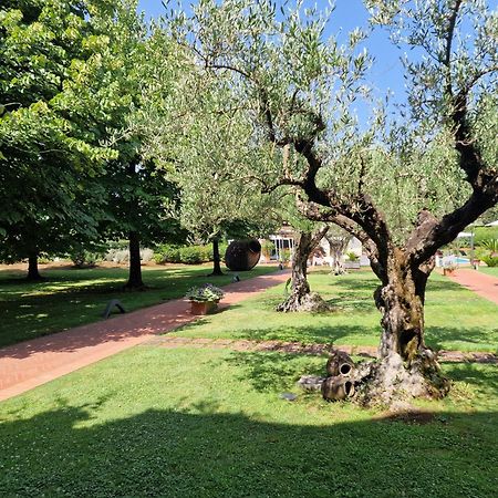 B&B Villa Sbaraglia Alatri Екстер'єр фото