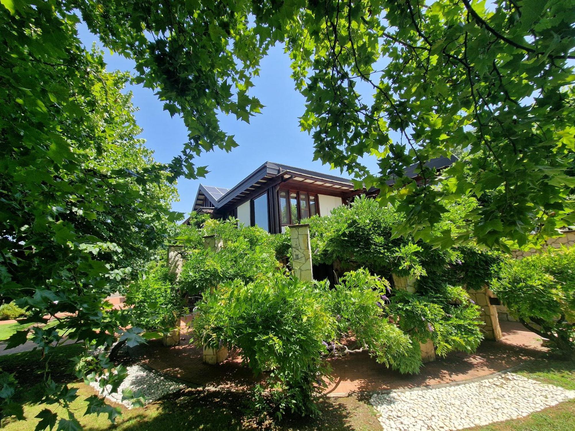 B&B Villa Sbaraglia Alatri Екстер'єр фото