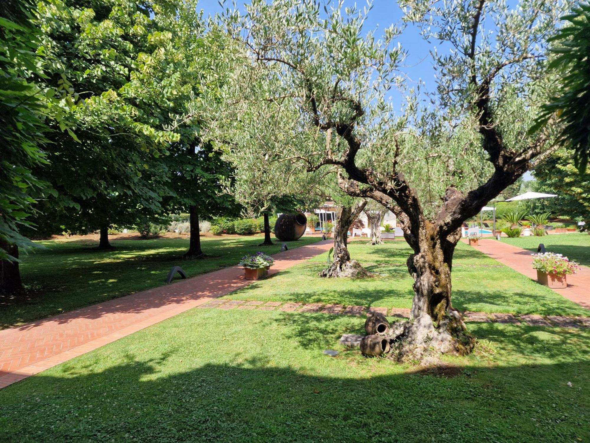 B&B Villa Sbaraglia Alatri Екстер'єр фото