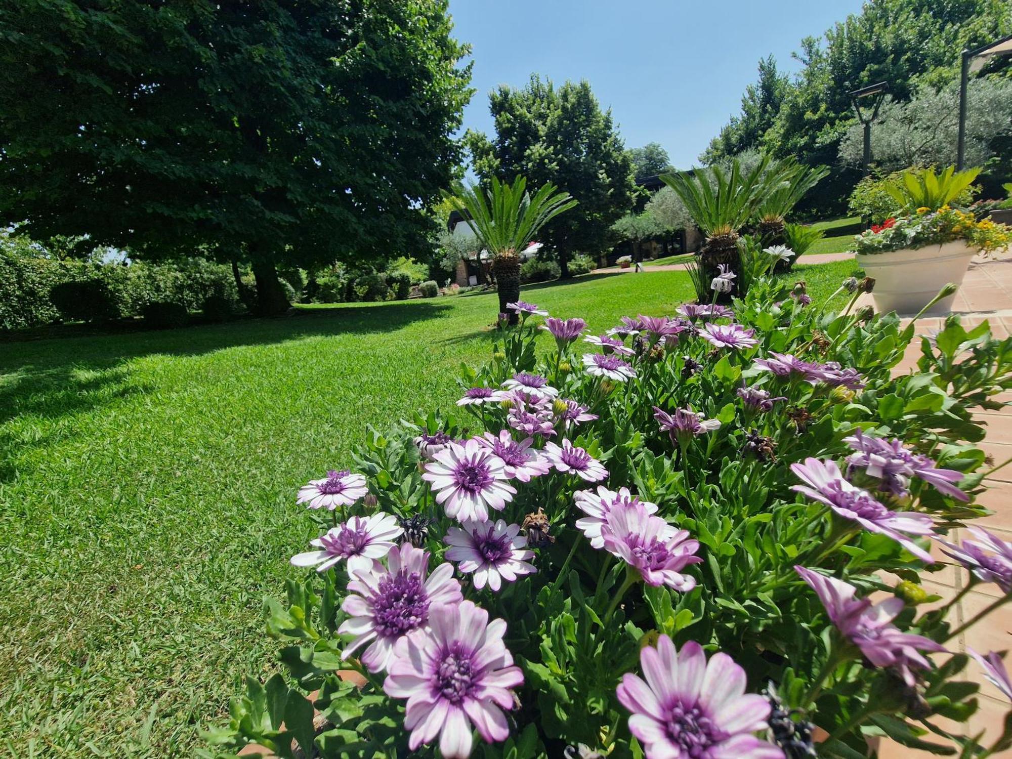 B&B Villa Sbaraglia Alatri Екстер'єр фото