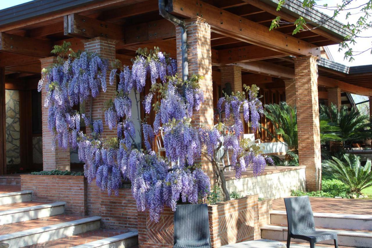 B&B Villa Sbaraglia Alatri Екстер'єр фото